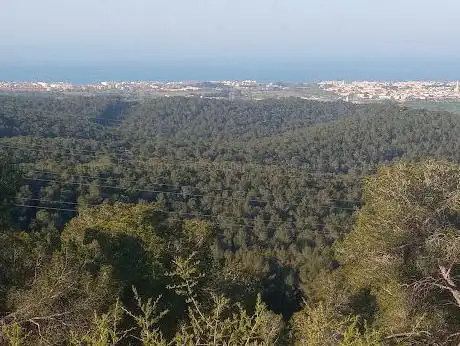 Photo de MIRADOR CARRERADA DE SANTA COLOMA