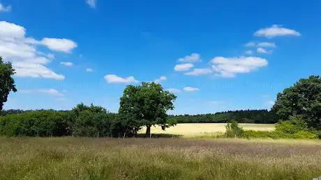 Photo de Bernwood Meadows