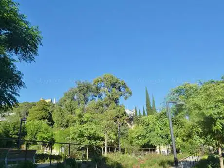 Photo de Parc dels Maduixers