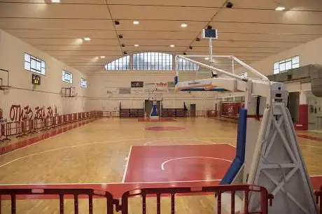 Palestra