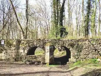 Photo de Templiers Woods