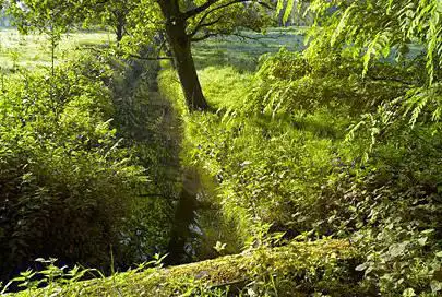 Kempens Landschap - Volmolen/Duivelskuil