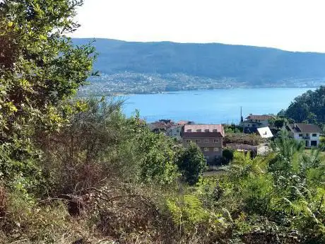 Photo de Petroglifos
