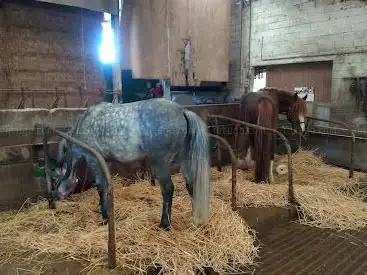 Photo de Equestrian Center La Jumenterie