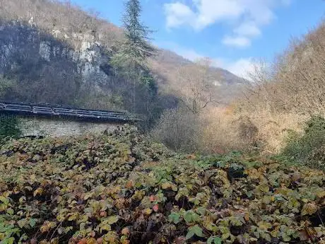 Molin de Cao