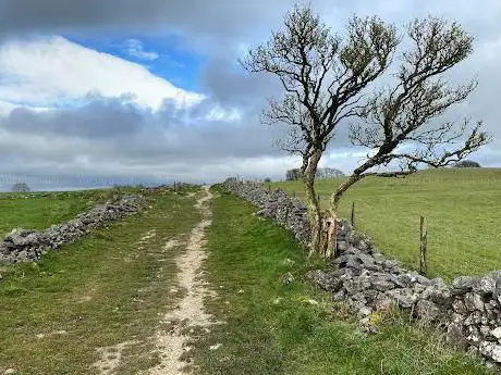 Middleton Moor