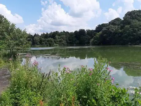Redesmere