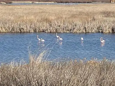 Photo de Laguna de Veguilla