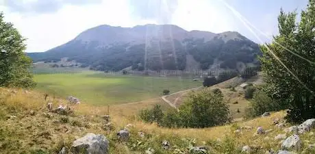 Photo de Bosco di pietre