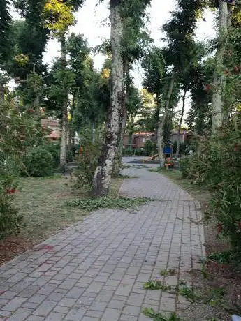 Photo de Parco Giochi Felceti