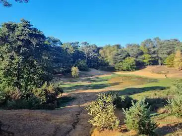 Photo de Oxshott Heath