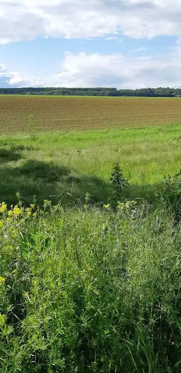 Photo de Le Pont de l'Oisemont