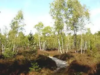 Le parcours nature de Lévignen