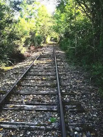 Photo de Cyclo-rail de Puisaye