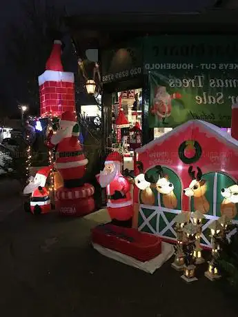 Christmas Trees Festive Shop