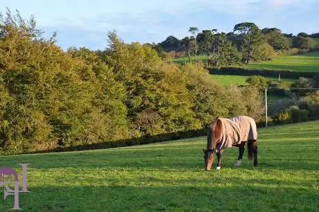 Lowertown Farm Retirement Livery