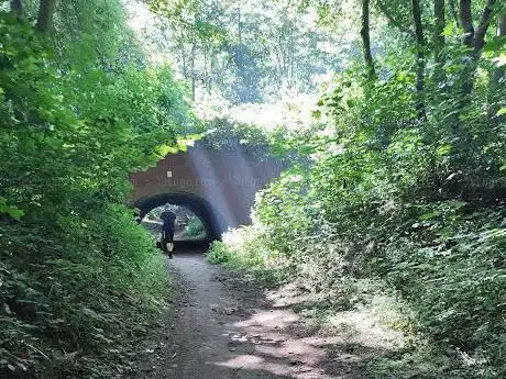 Windmill Hill Wood