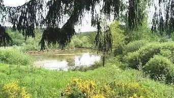 Vogelhut