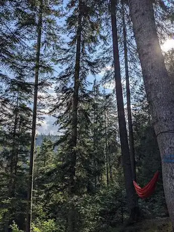 Falesia Marino Stenico di Fondo