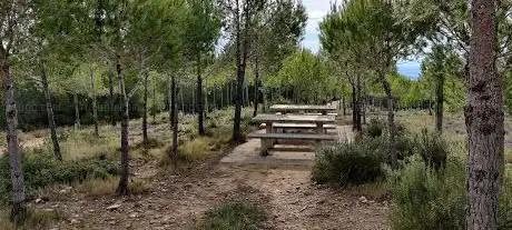 Photo de Zona de picnic
