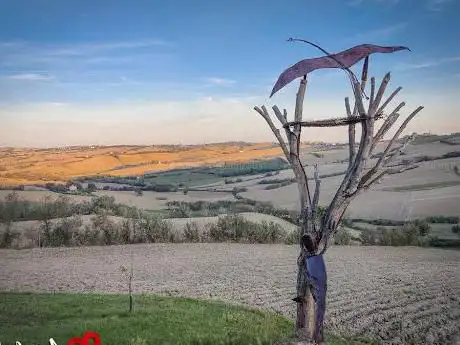 Photo de Museo d'arte a cielo aperto