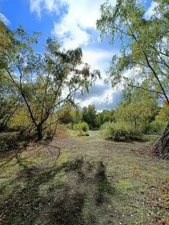 Claybrookes Marsh Nature Reserve
