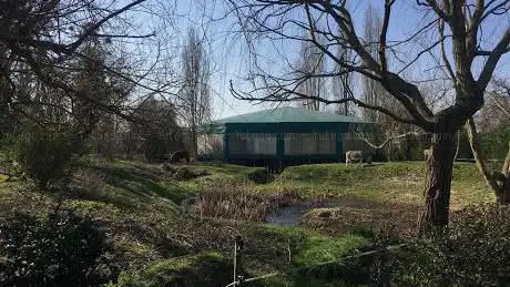 Académie Art Equestre