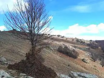 Punta di Caldane
