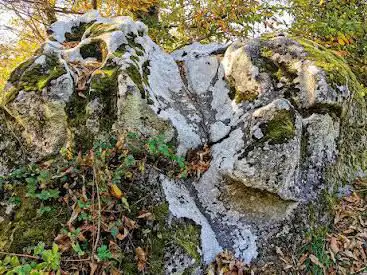 Photo de La pierre du sacrifice Châteauponsac