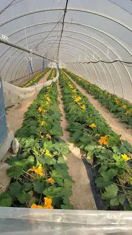 Az. Agricola La Piola di Garrone Gian Piero