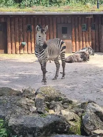 Zoo de Landau in der Pfalz