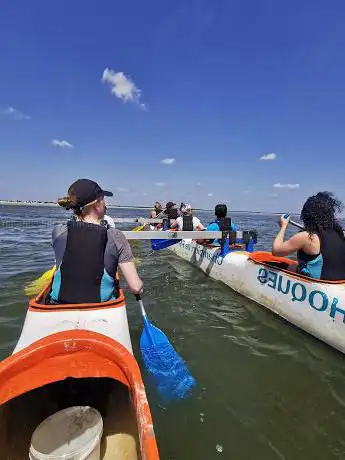 Pirogue - Excursion en Baie de Somme - Baie des Phoques
