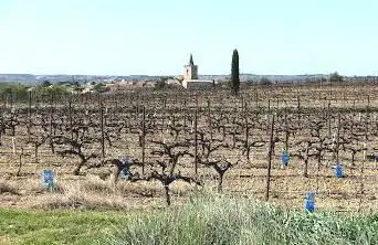 Photo de Belvédère de Nézingan l'Évêque
