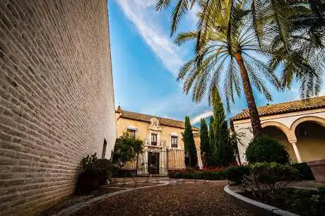 Photo de Casa Palacio de Cárdenas y Prado Castellano
