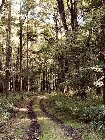 Photo de The Mount