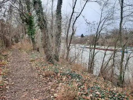 Passage de l'ile de Chatou