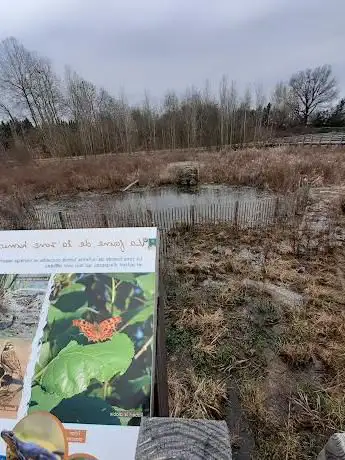 Zone humide de la Petite Saône