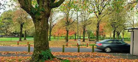 Photo de Cringle park walking Circuit