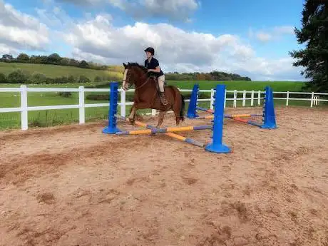 Photo de Noakes Farm Riding Centre