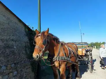 Photo de Les Attelages du Château