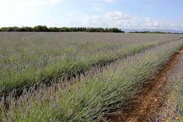 Photo de Plateau des Claparèdes