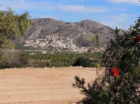 Photo de Cova de les Calaveres