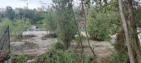 Spiaggia sabbiosa
