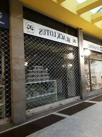 Photo de Black Lotus Cardstore