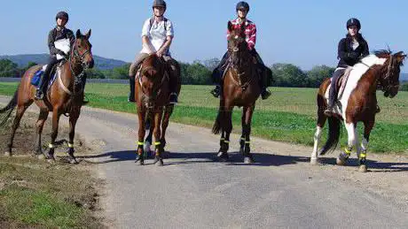 Photo de Haras De La Chapelle