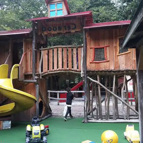 Cerwood Adventure Park