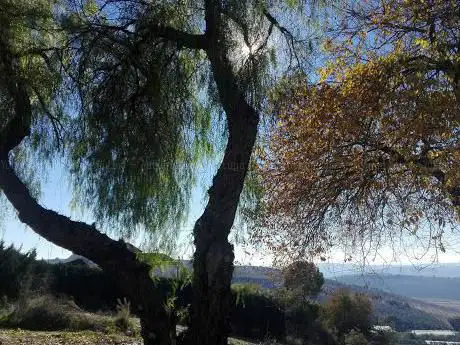 Photo de Sendero Local Camino Era Del Mirador