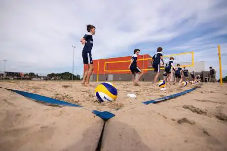 Beachvolleybalterrein