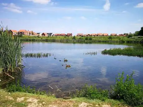 Photo de Lakeside Nature Reserve