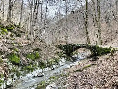 Photo de Valle del Cosia